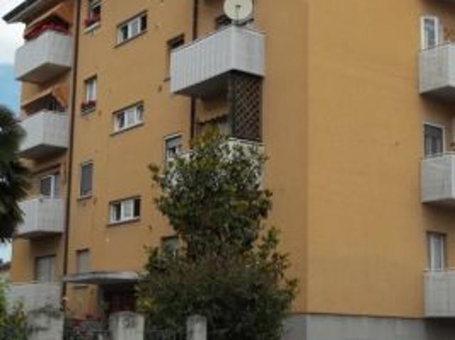 Camera singola
