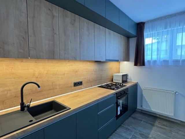 Camere cu băi private și apartament de închiriat la 10 min de UMF