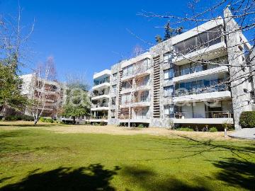 Camino Central, La Dehesa
