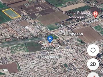 camino san ramon 7879