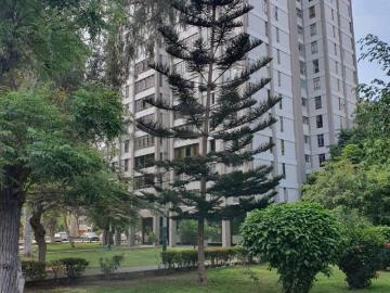 CAMINA A LA UNIVERSIDAD DEL PACIFICO, UPC, CERCA A PUCP, TOULOUSSE, OTROS