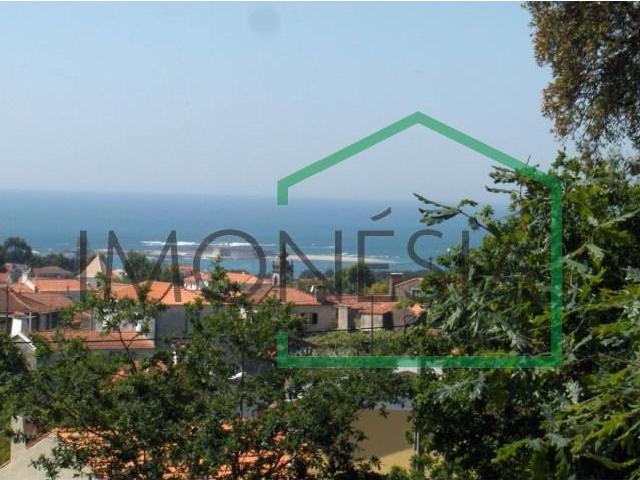 Caminha Caminha 104015204