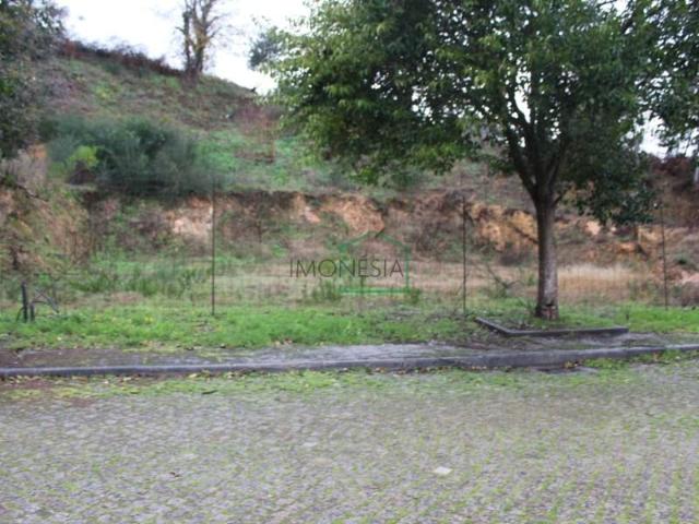 Caminha Caminha 104015206