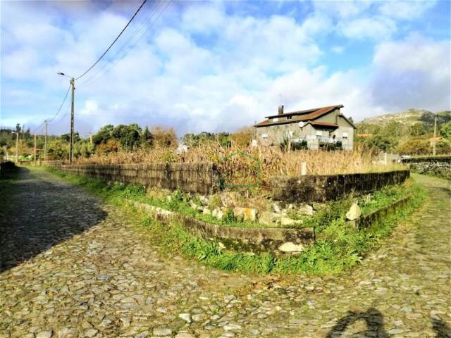 Caminha Caminha 104015210