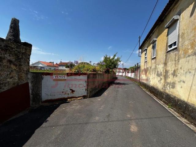 Caminha Caminha 104147584