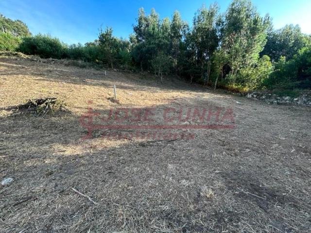 Caminha Caminha 104159174