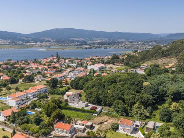 Caminha Caminha 104201622