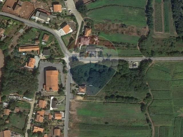 Caminha Caminha 104609409
