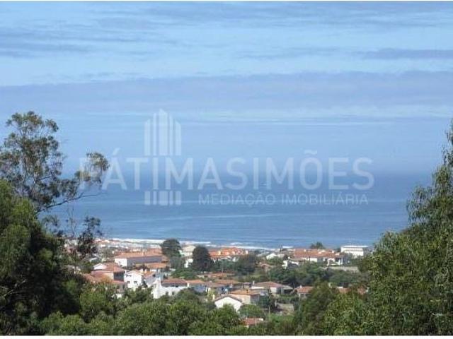 Caminha Caminha 104614979
