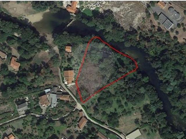 Caminha Caminha 104792529