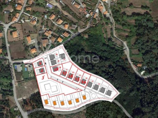 Caminha Caminha 104816663