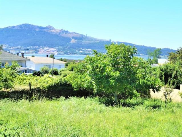 Caminha Caminha 100782779