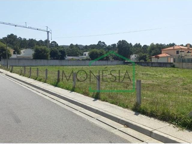 Caminha Caminha 100928807