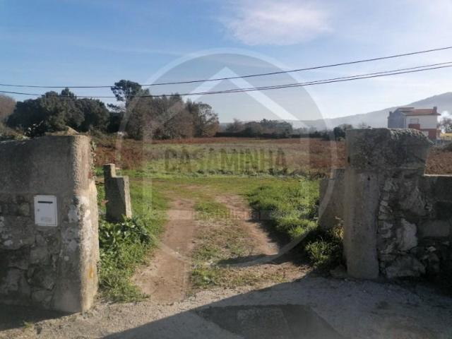 Caminha Caminha 101014177