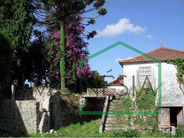 Caminha Caminha 101246432