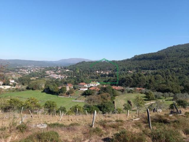 Caminha Caminha 102975045