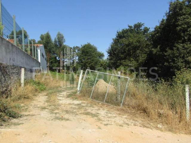 Caminha Caminha 103608490