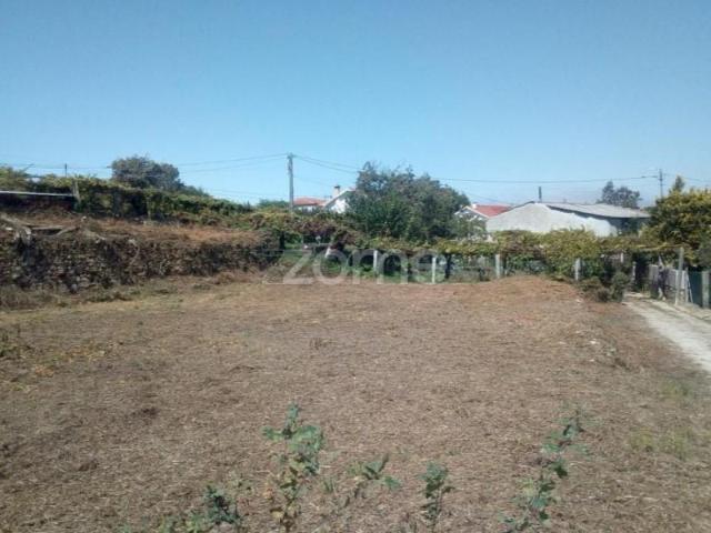 Caminha Caminha 103635736