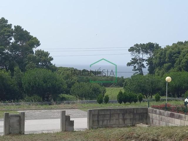 Caminha Caminha 103943176
