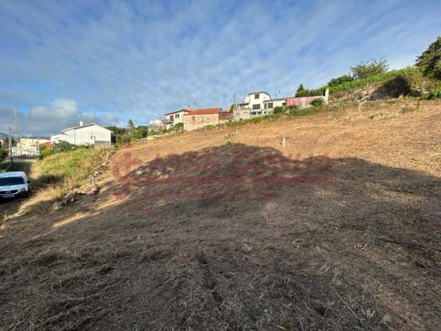 Caminha Caminha 87639405