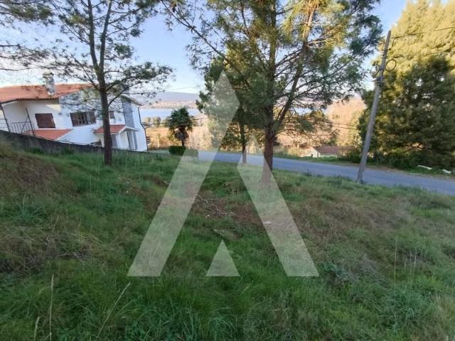 Caminha Caminha 87276177
