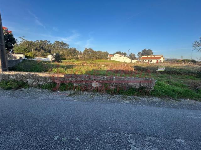 Caminha Caminha 87396150