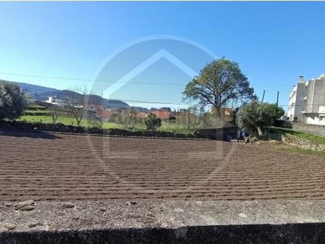 Caminha Caminha 89098351