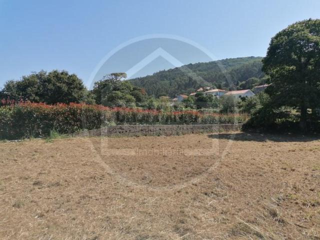 Caminha Caminha 90498563