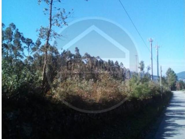 Caminha Caminha 90916346
