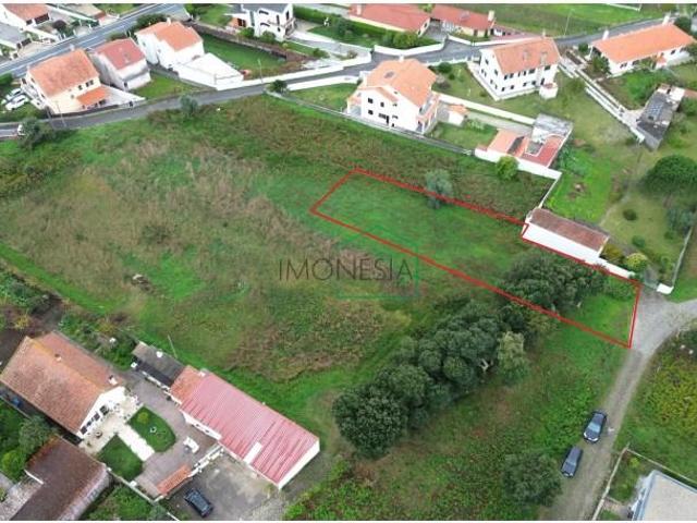 Caminha Caminha 95845679