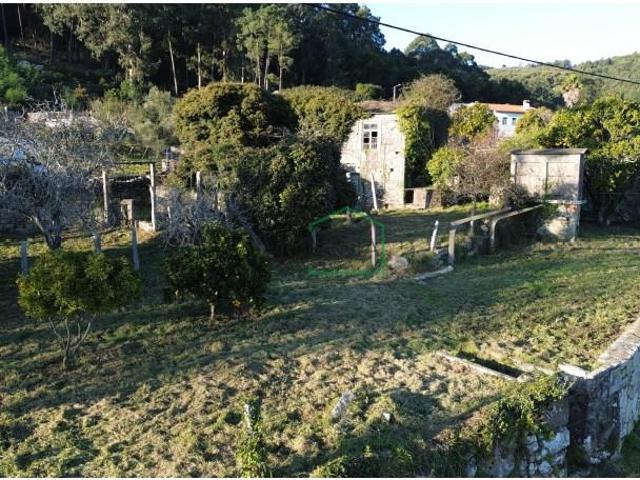 Caminha Caminha 97601879