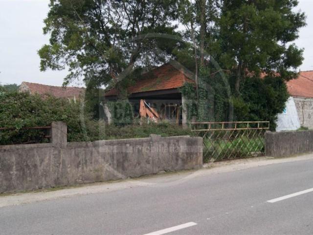 Caminha Caminha 97121229