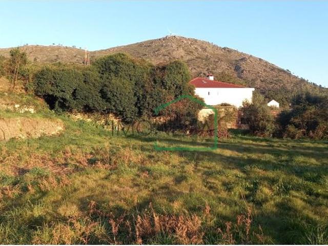 Caminha Caminha 97123251