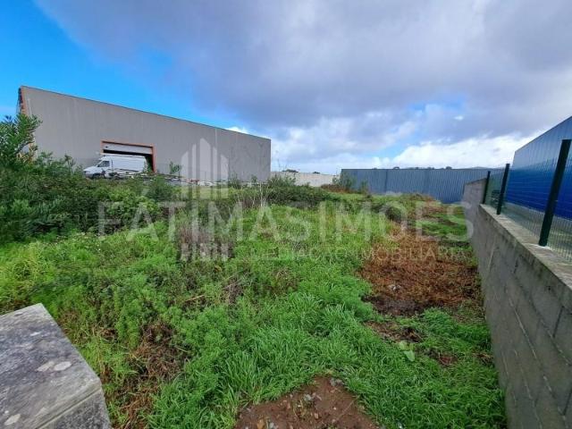 Caminha Caminha 99515019