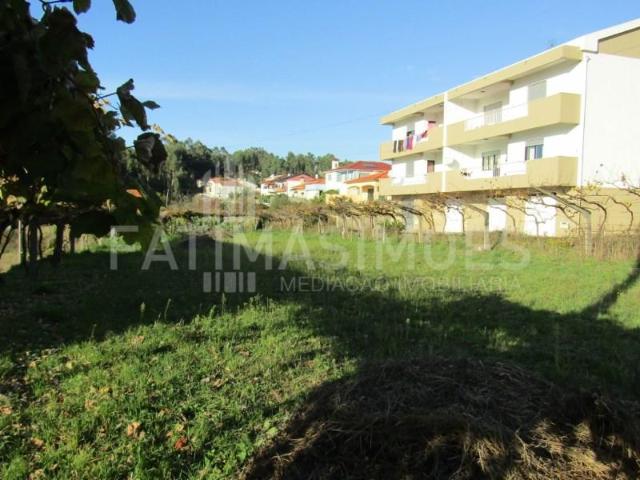 Caminha Caminha 99527993