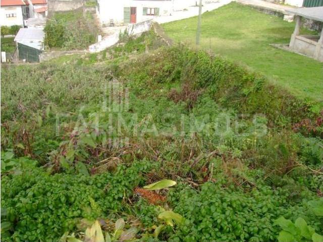 Caminha Caminha 99530502