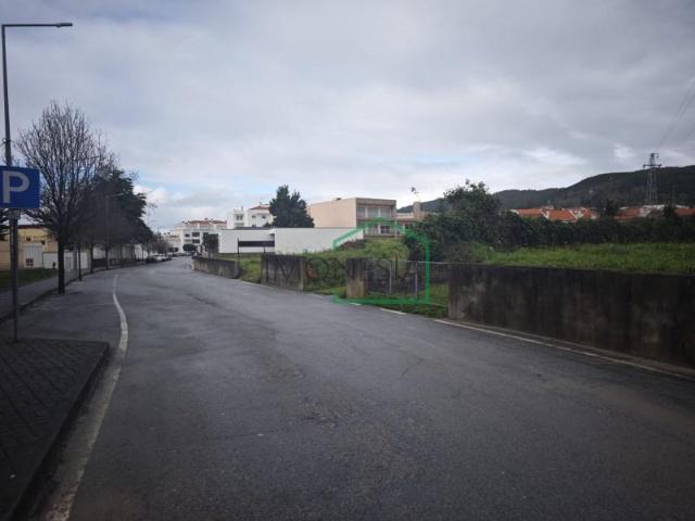 Caminha Caminha 99014352