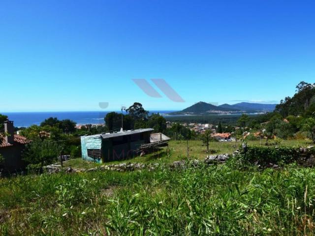 Caminha Caminha 99103302