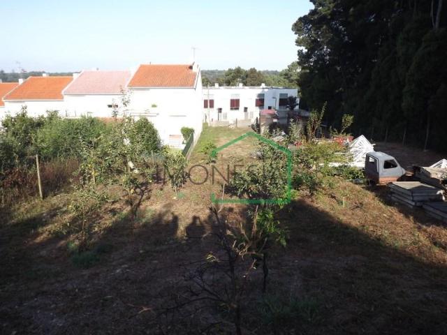 Caminha Caminha 99297218