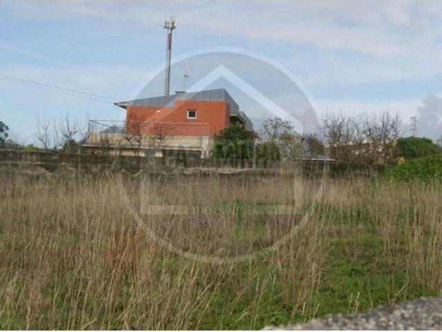 Caminha Caminha LS97121228