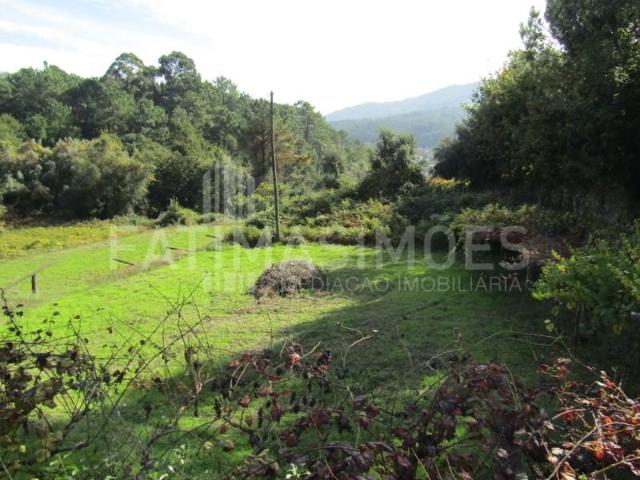 Caminha Caminha LS99530484