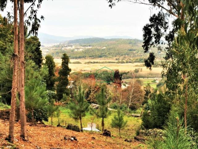 Caminha Caminha LS101246416