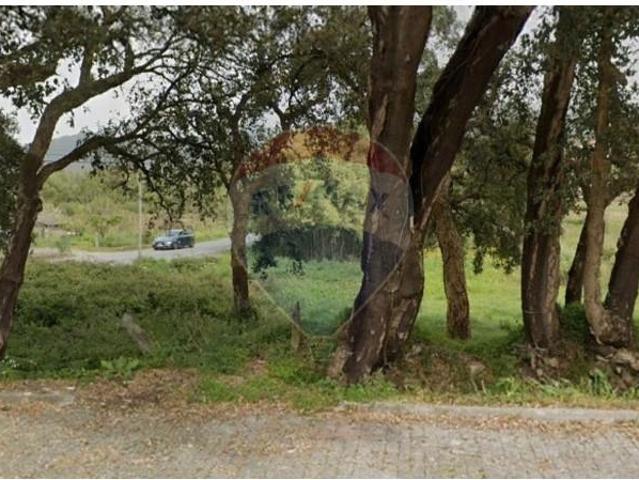 Caminha Caminha LS102784026