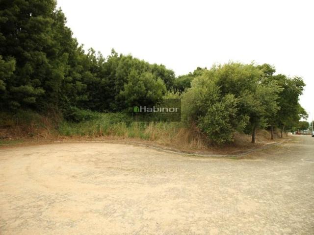 Caminha Caminha LS102362757