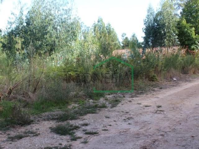 Caminha Caminha LS102362275