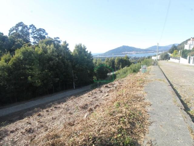 Caminha Caminha LS102362283
