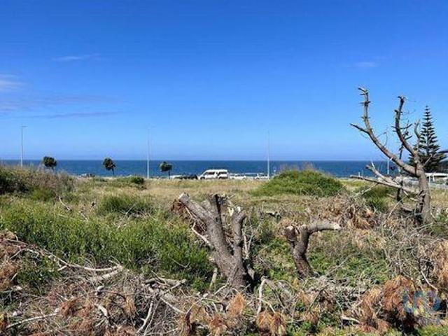 Caminha Viana Do Castelo 92956080