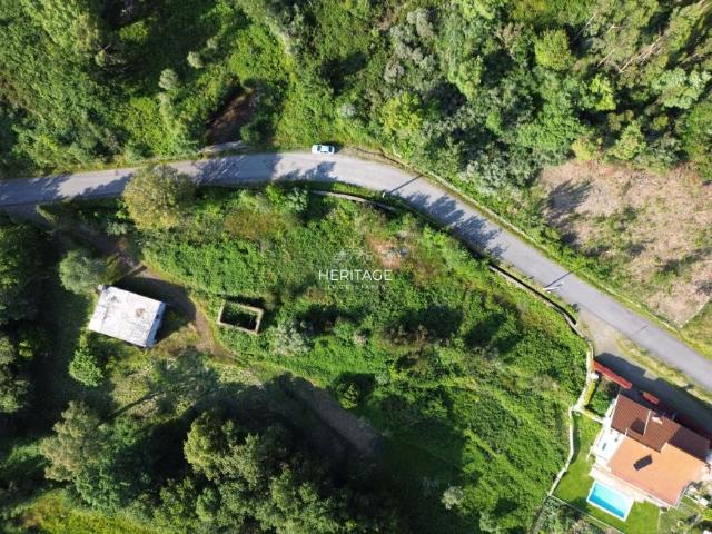 Caminha Viana do Castelo 94695188