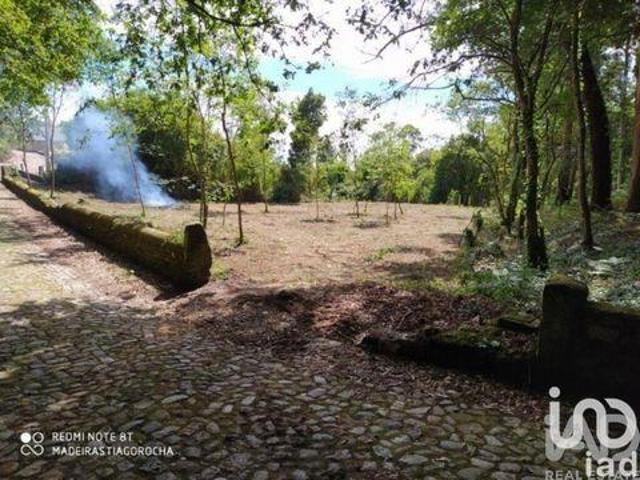 Caminha Viana Do Castelo 96214137