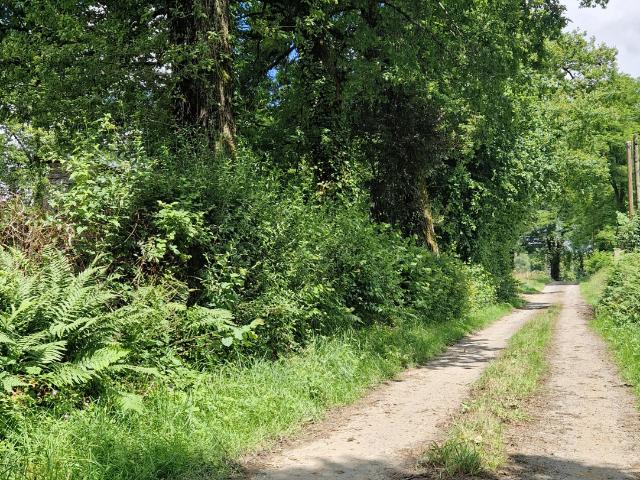 Campagne